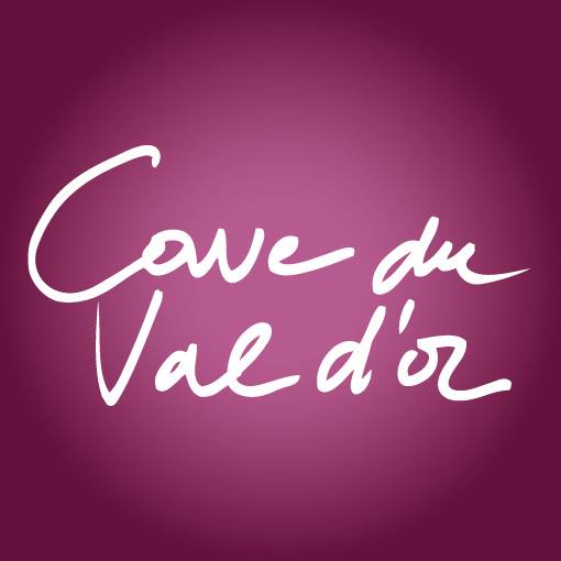 eeWWEogQR1_CVO réseaux.jpg